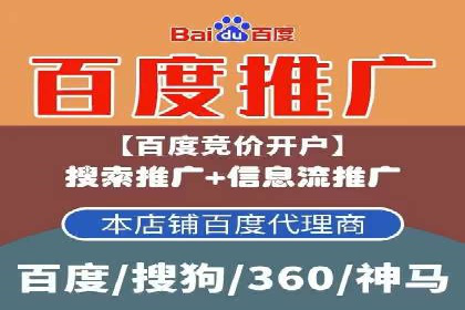 某公司如何利用SEO和SEM提升线上业务——真实案例分析